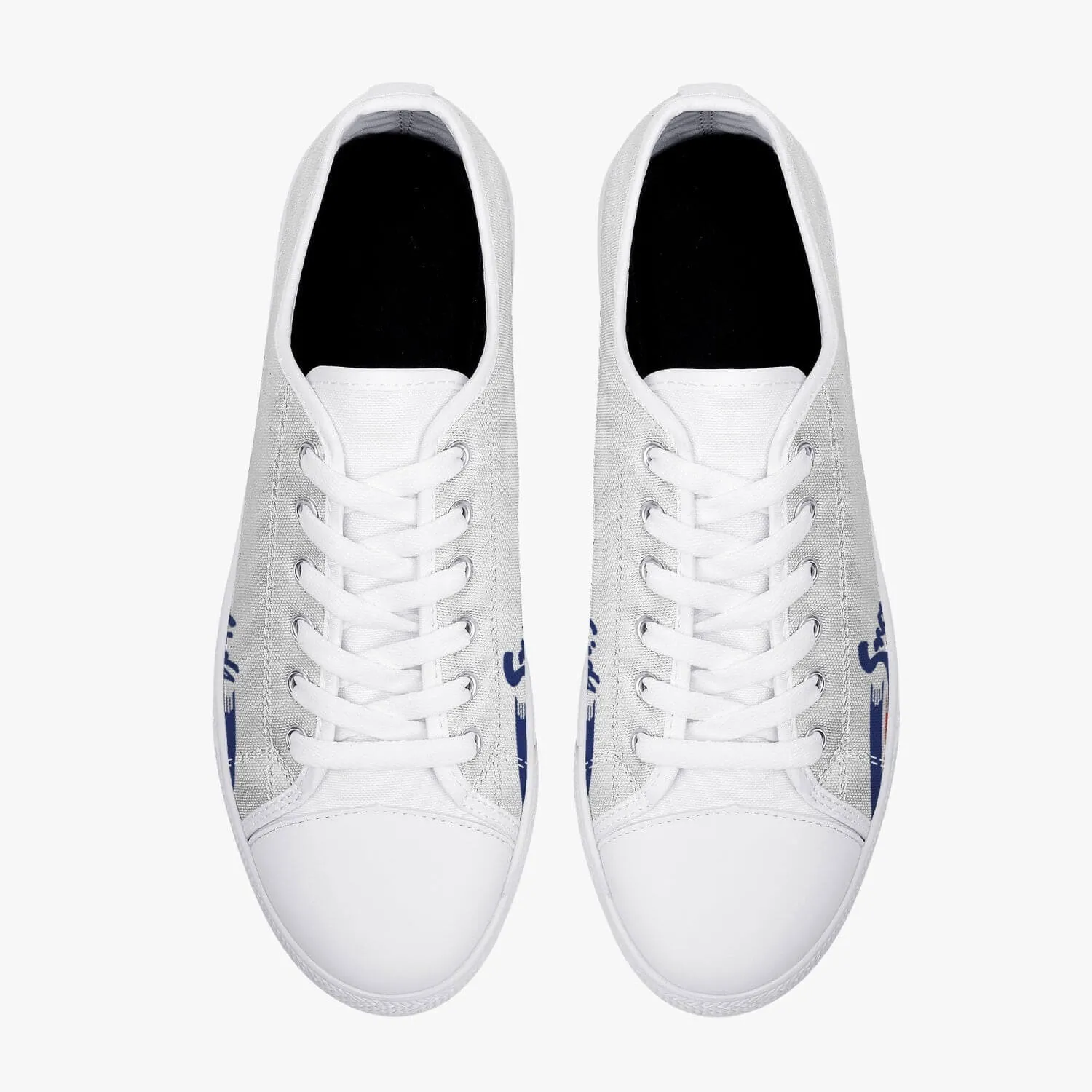 "Snowbirds" Low Top Canvas Shoes