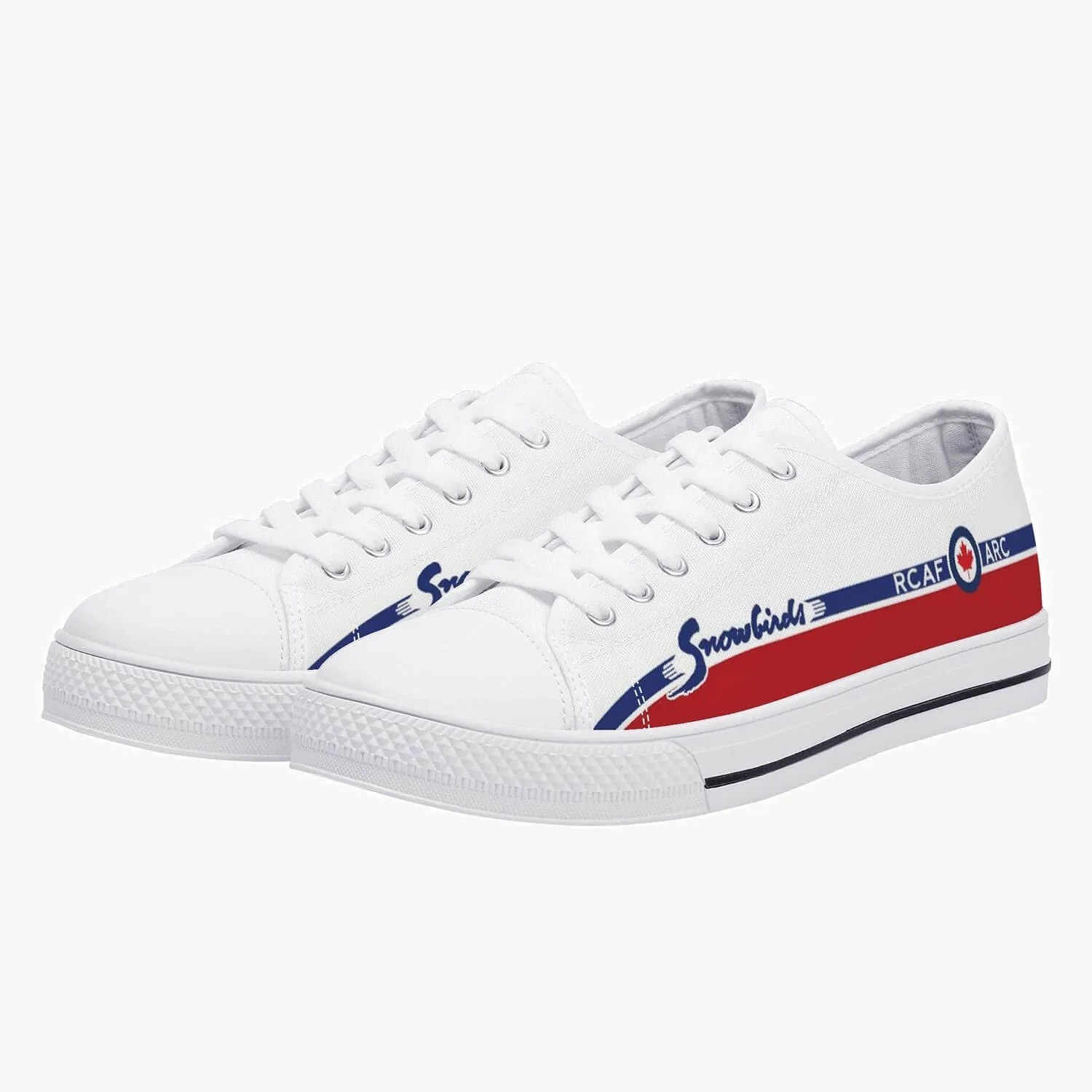 "Snowbirds" Low Top Canvas Shoes