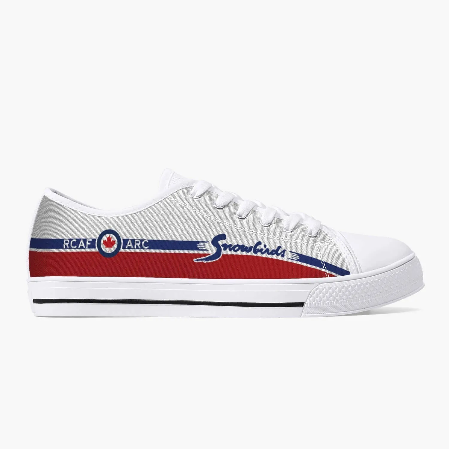 "Snowbirds" Low Top Canvas Shoes
