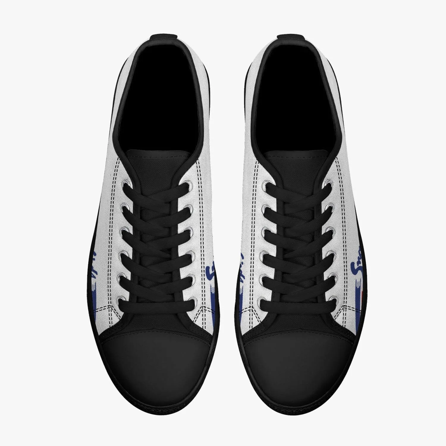 "Snowbirds" Low Top Canvas Shoes