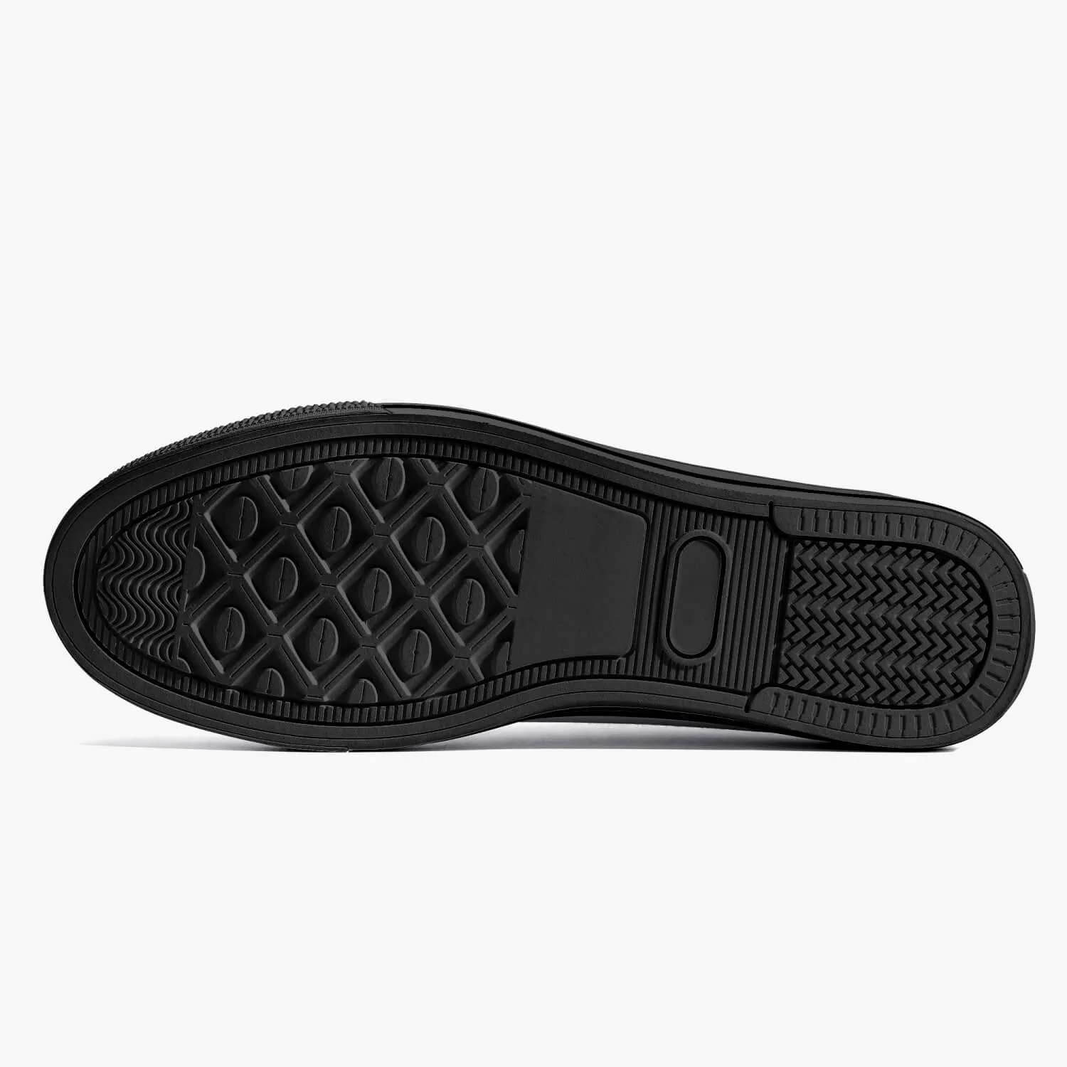 "Snowbirds" Low Top Canvas Shoes