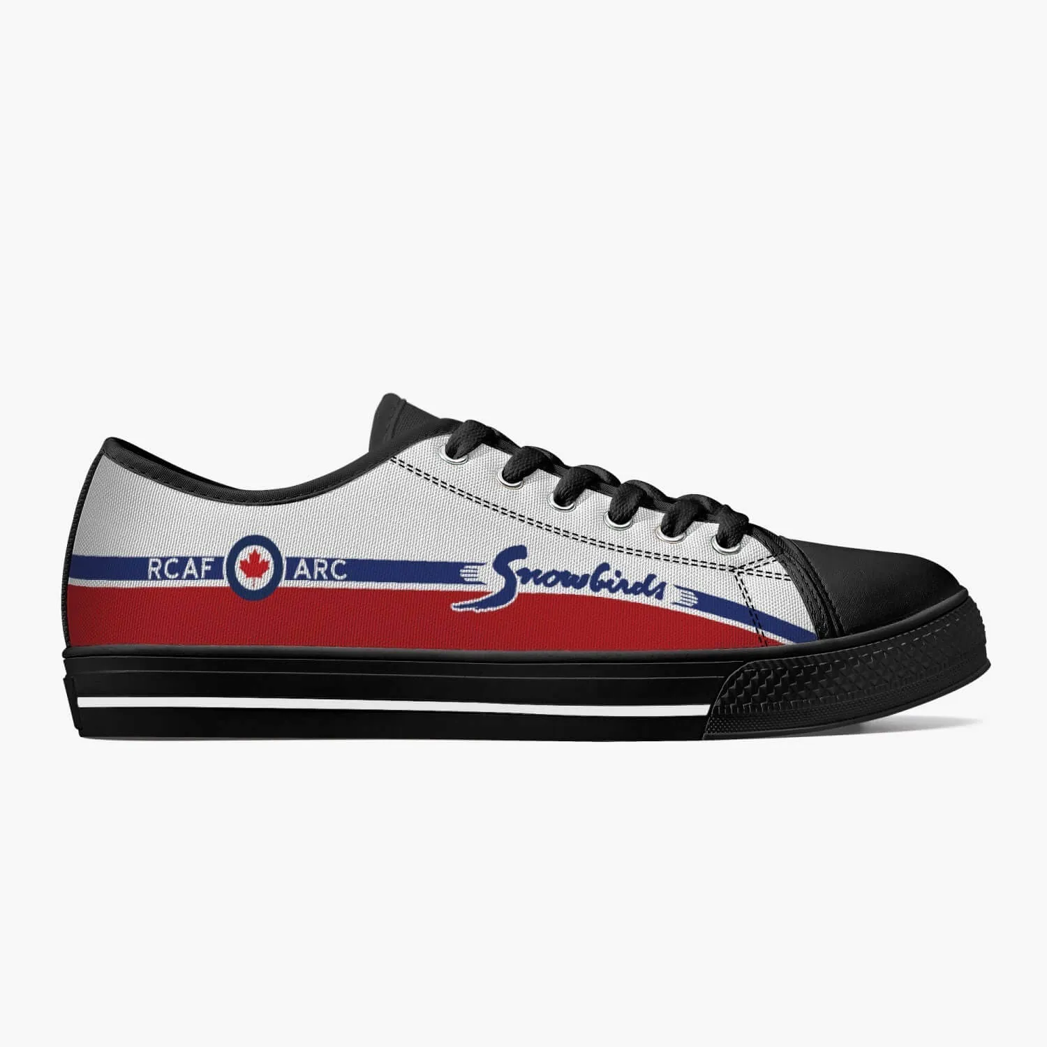 "Snowbirds" Low Top Canvas Shoes