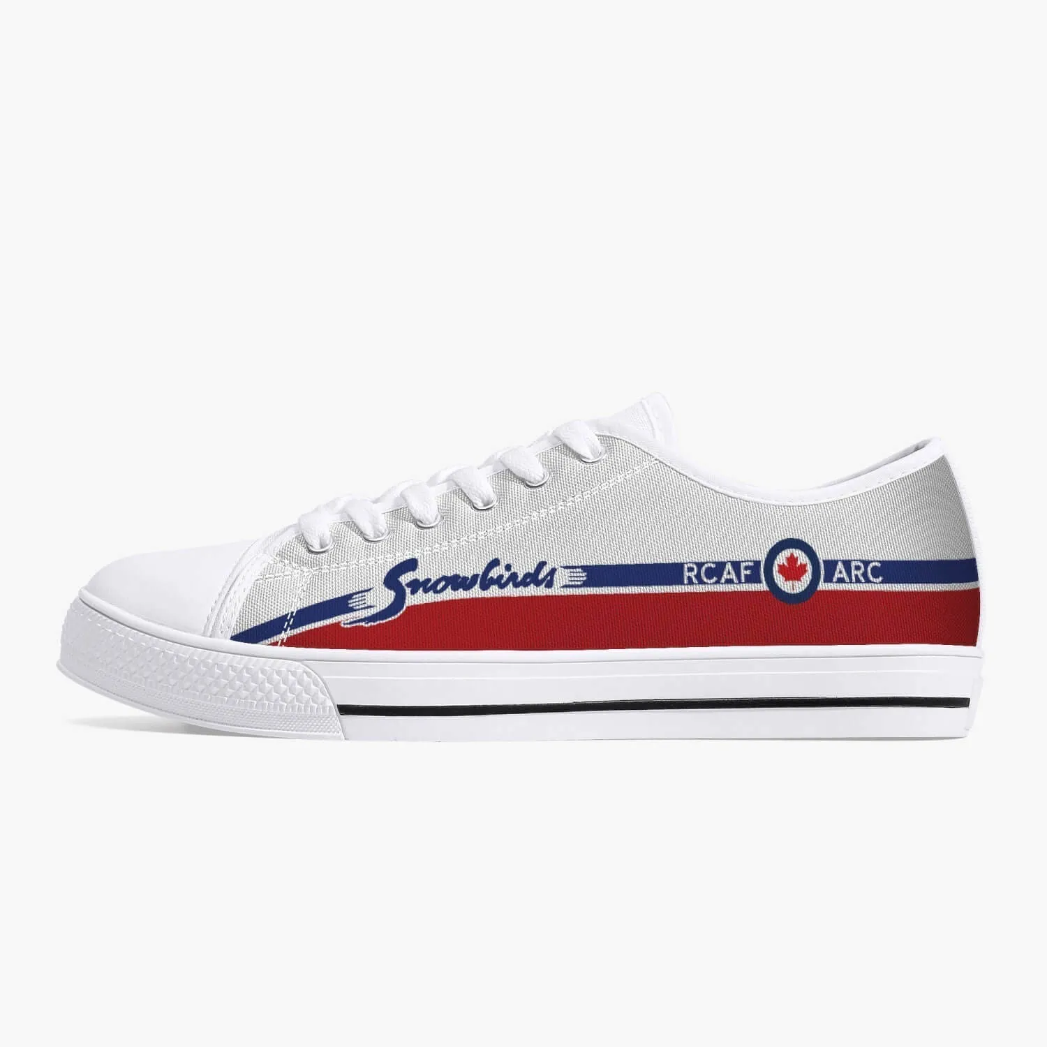 "Snowbirds" Low Top Canvas Shoes